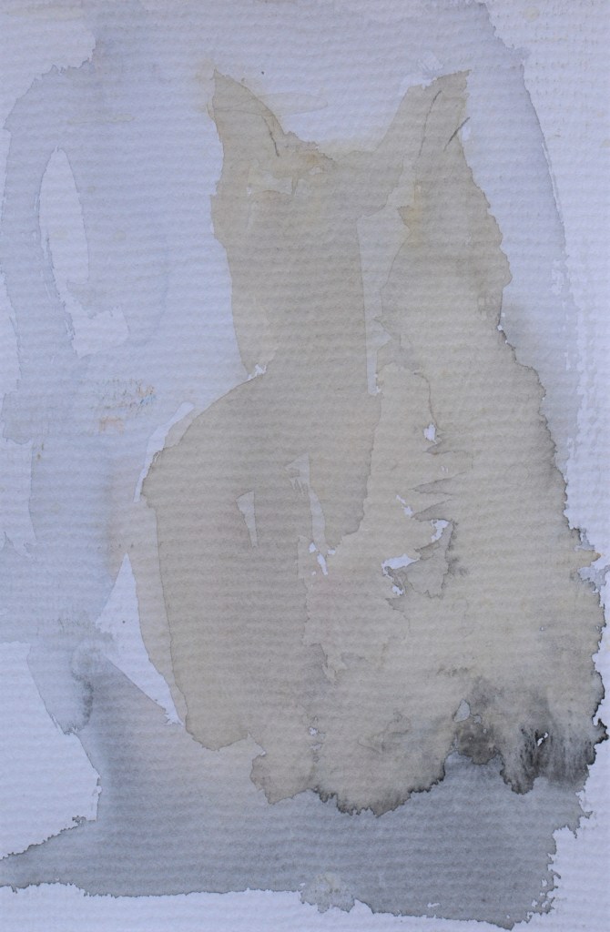 kreta farbskizzen, katze