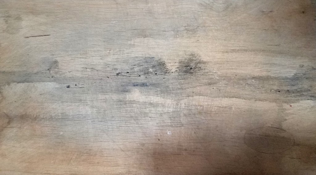 river landscape in ink on wood